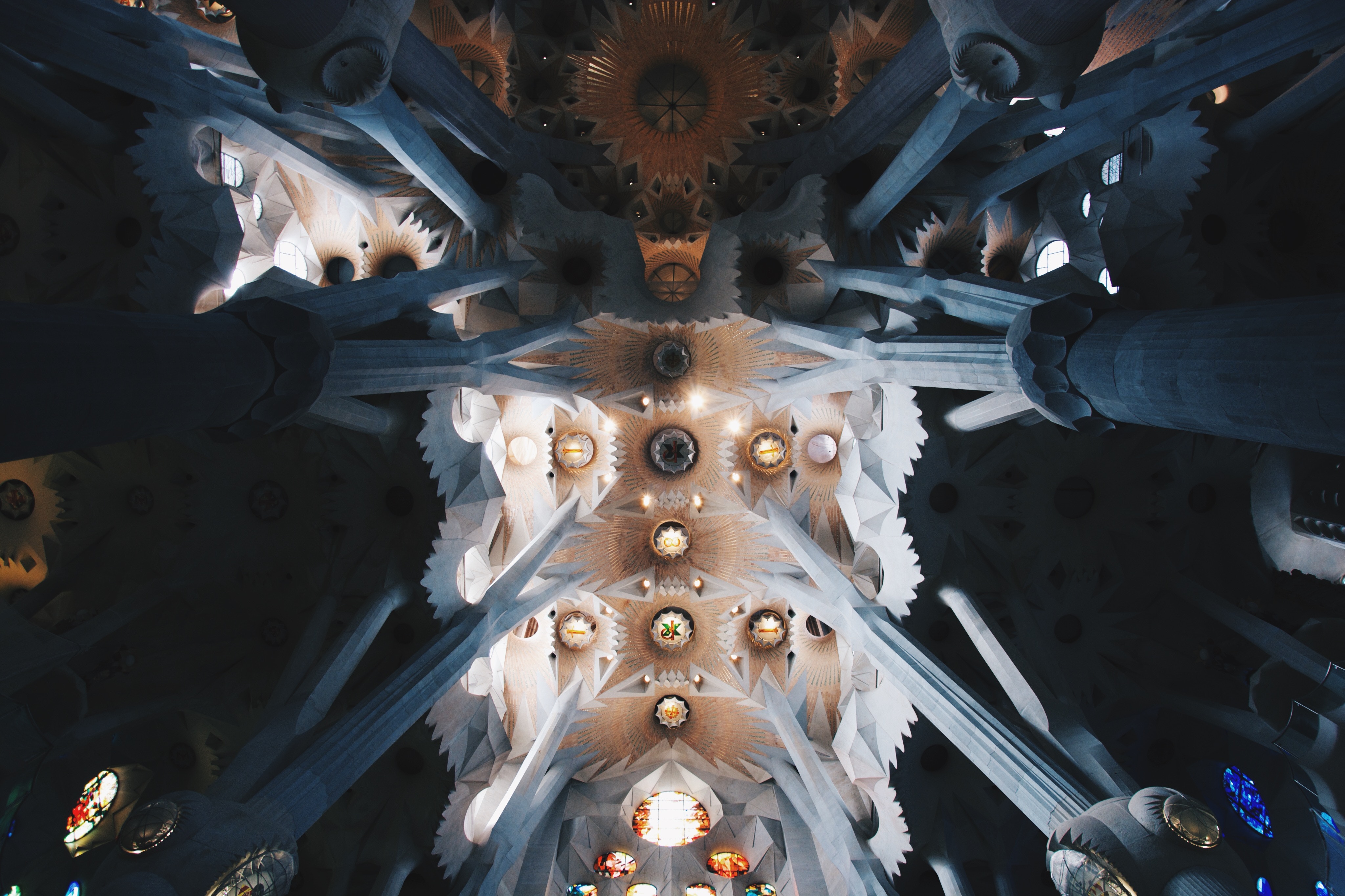 an image of the ceiling of the sagrada familia